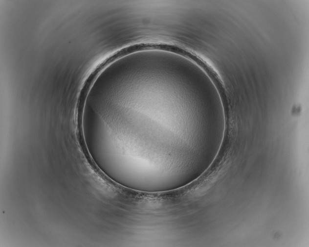 X0000090980935200708091454