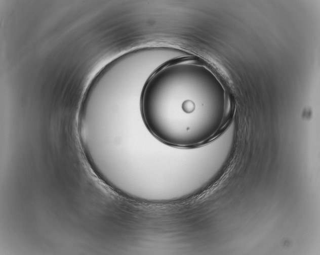 X0000090980936200708091454