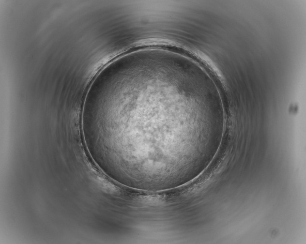 X0000090980937200708091454