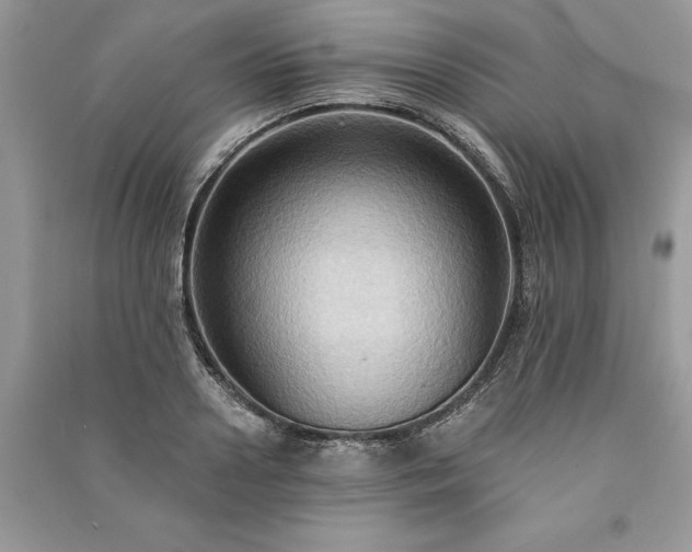 X0000090980938200708091454