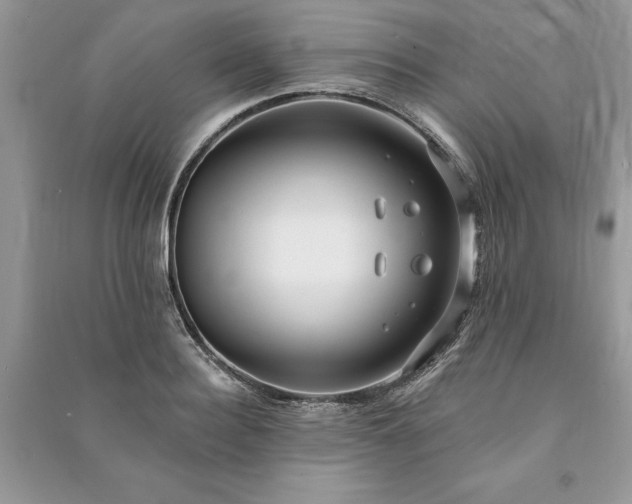 X0000090980940200708091454