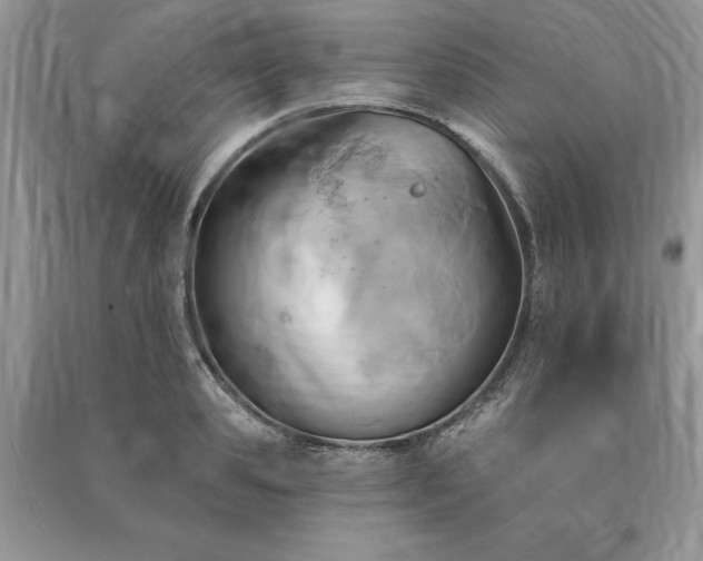 X0000090980941200708091454