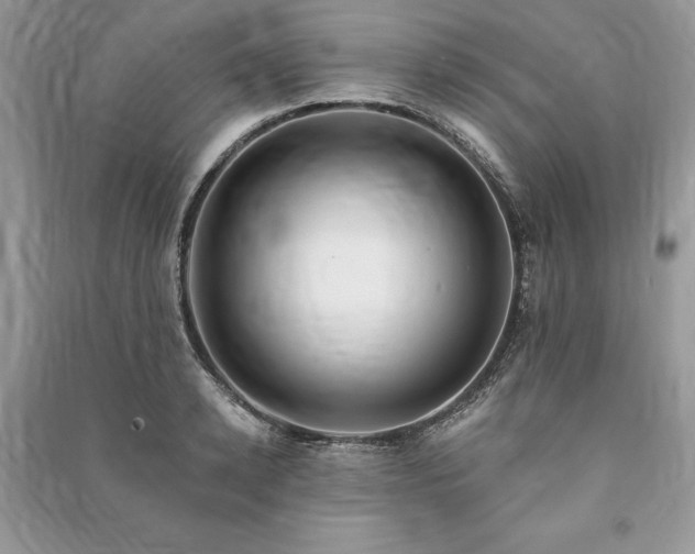 X0000090980942200708091454