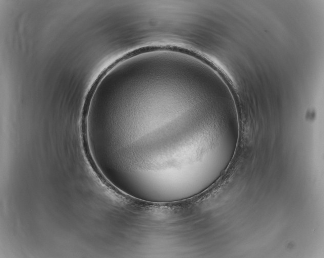 X0000090980943200708091454