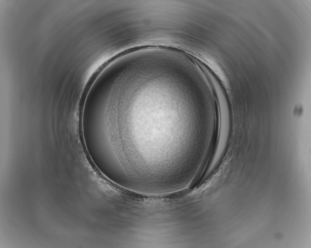 X0000090980944200708091454