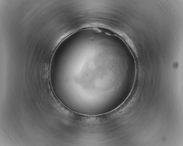 X0000090980945200708091454