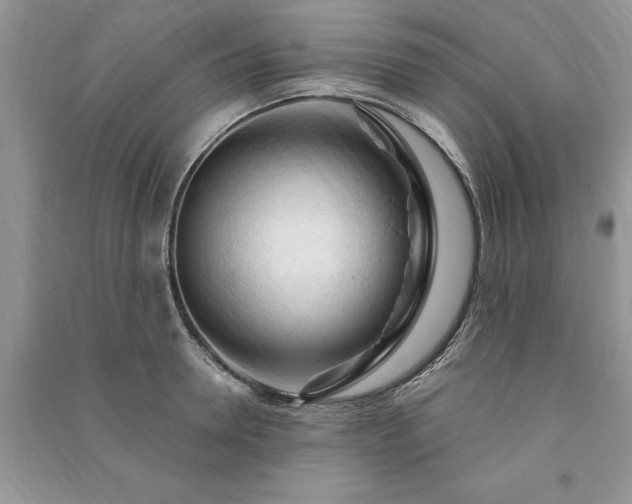 X0000090980946200708091454