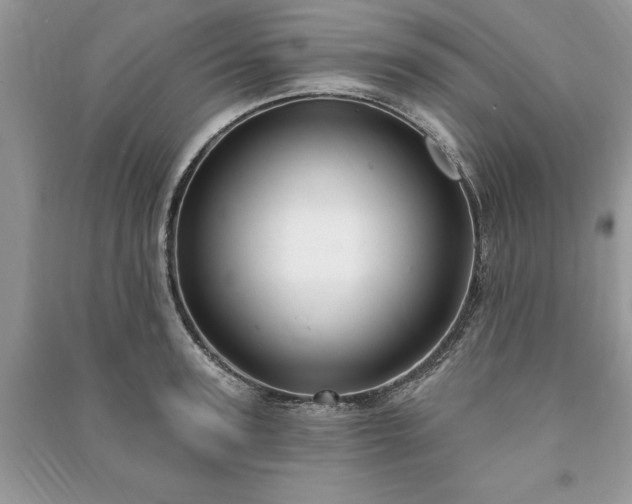 X0000090980947200708091454