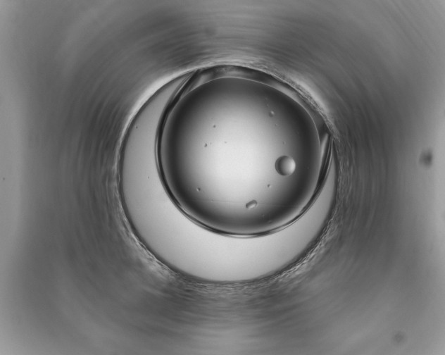 X0000090980948200708091454