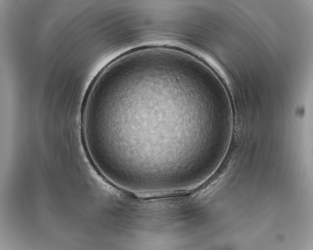 X0000090980951200708091454