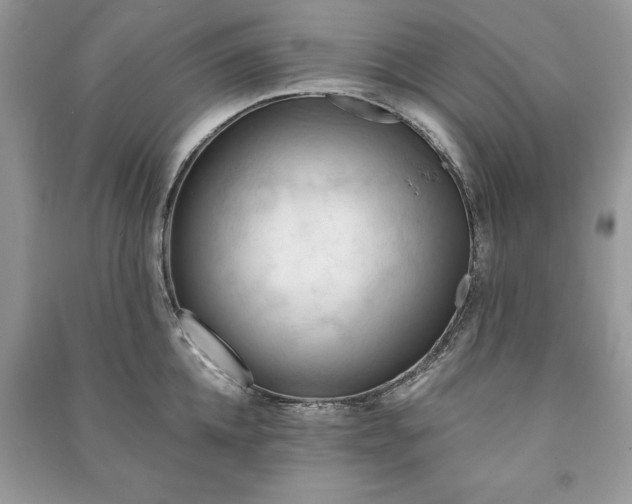 X0000090980952200708091454