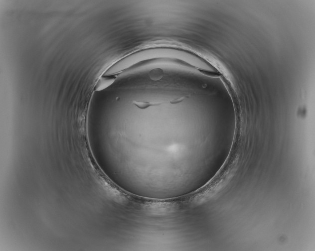 X0000090980953200708091454