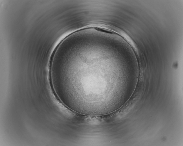 X0000090980955200708091455