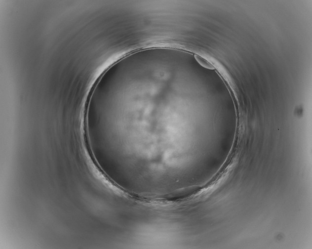 X0000090980957200708091455
