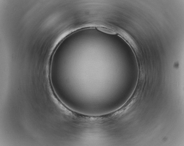 X0000090980958200708091455