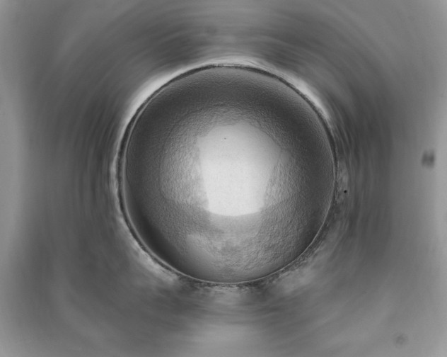 X0000090980959200708091455