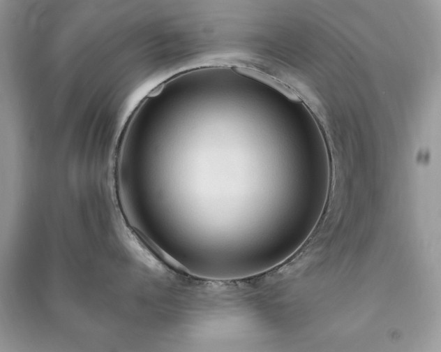 X0000090980960200708091455