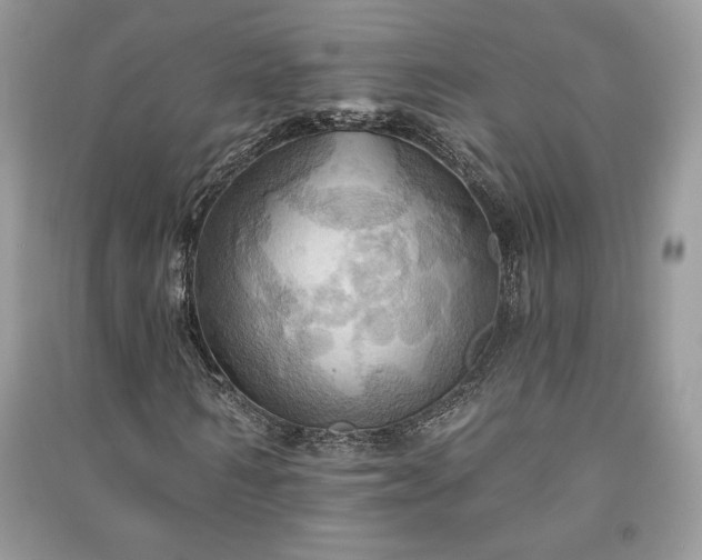 X0000090980962200708091454