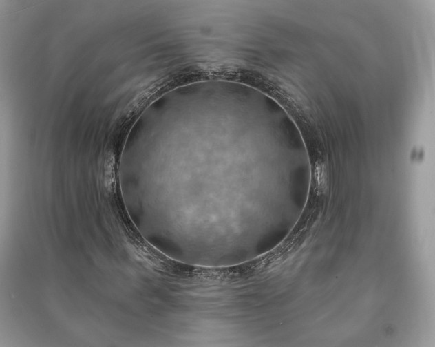 X0000090980963200708091454