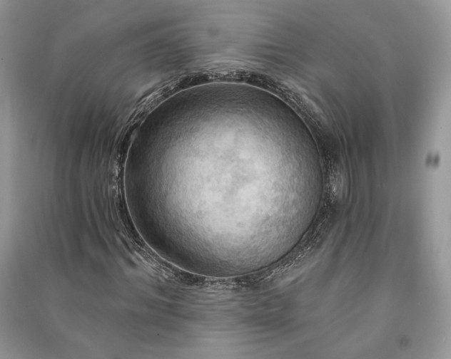 X0000090980964200708091454