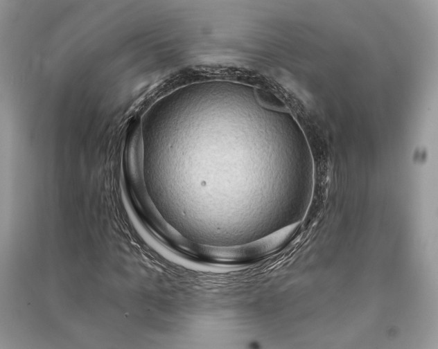 X0000090980965200708091454