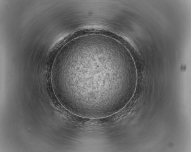 X0000090980967200708091454