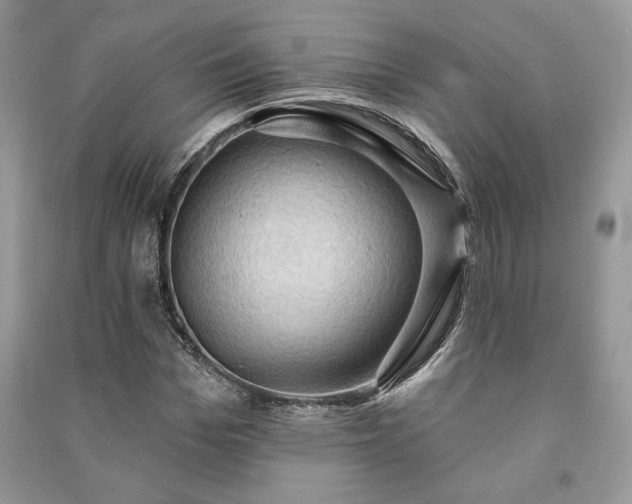 X0000090980969200708091454