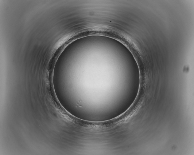 X0000090980970200708091454