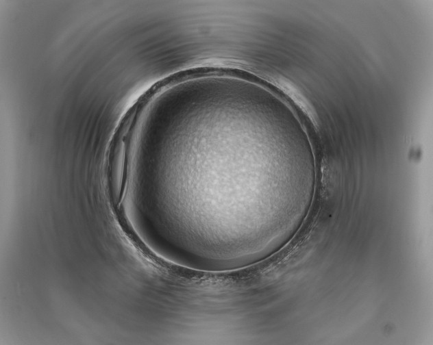 X0000090980972200708091454