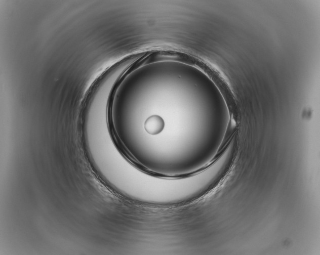 X0000090980973200708091454
