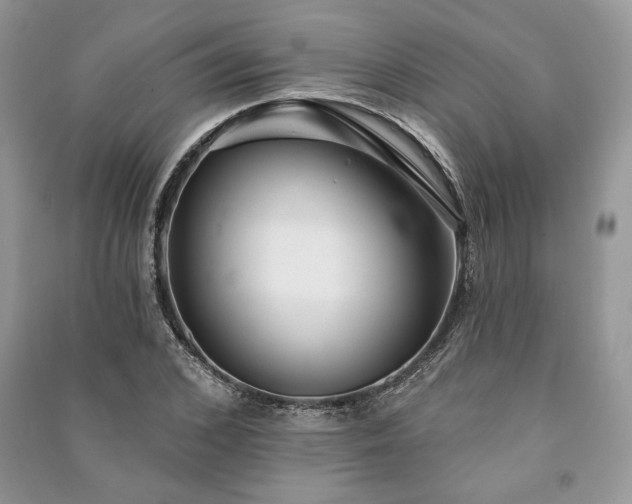 X0000090980976200708091454