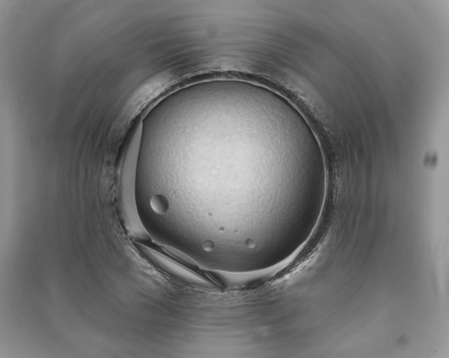 X0000090980977200708091454