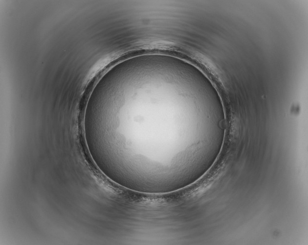 X0000090980978200708091454