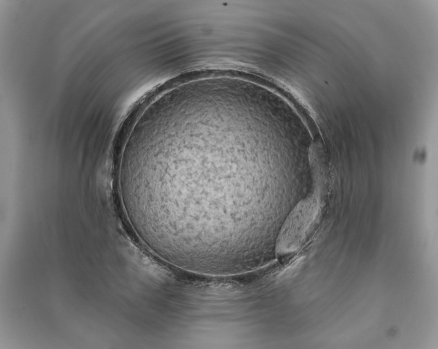 X0000090980979200708091454