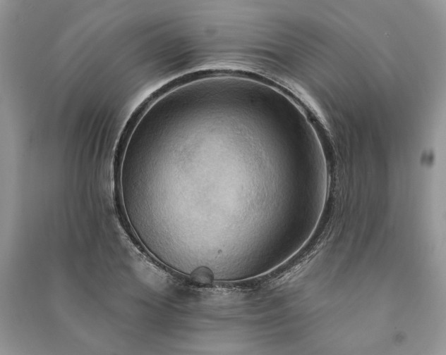 X0000090980980200708091454