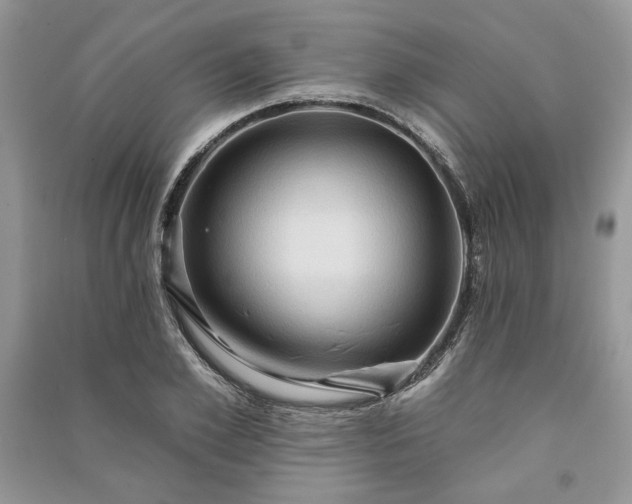 X0000090980981200708091454