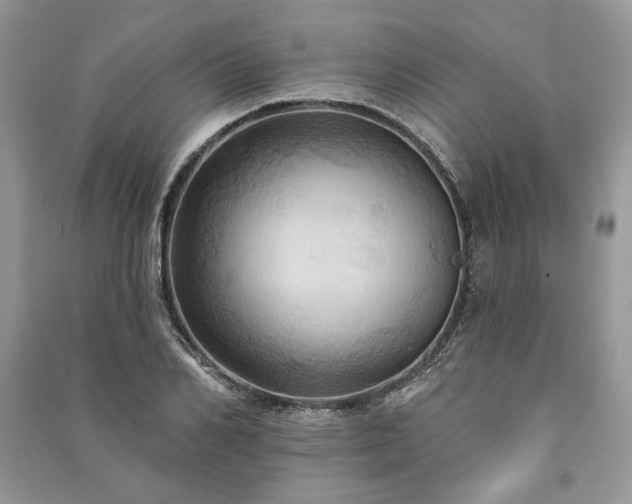 X0000090980982200708091454