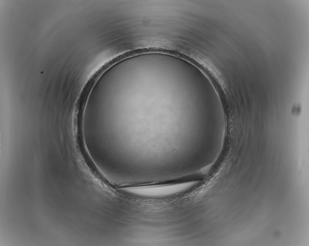 X0000090980983200708091454