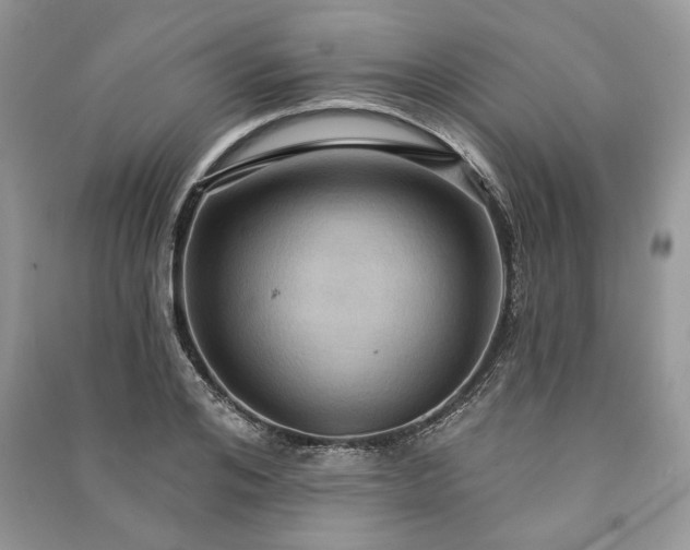 X0000090980984200708091454