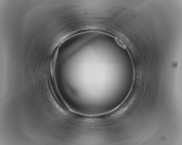 X0000090980985200708091454