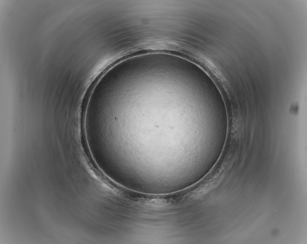 X0000090980986200708091454