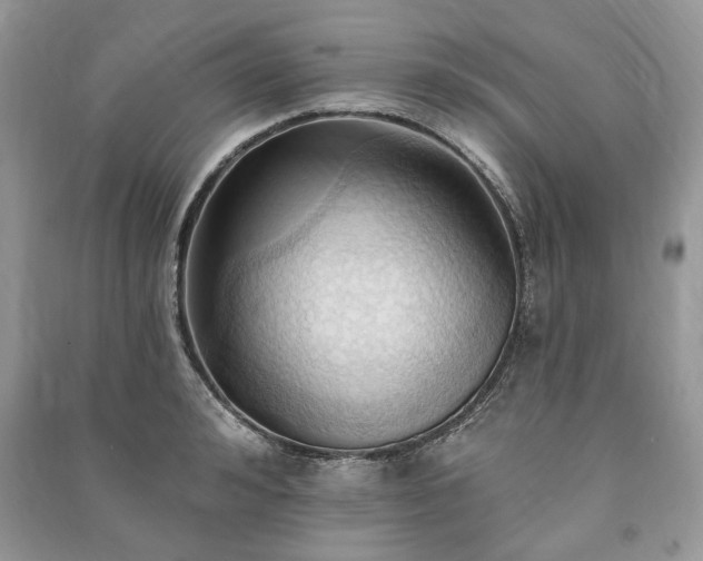 X0000090980992200708091454