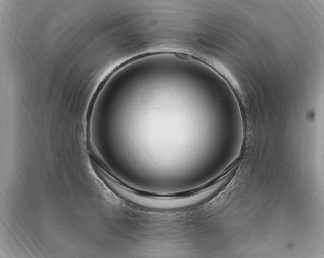 X0000090980996200708091454