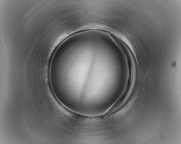 X0000090980997200708091454