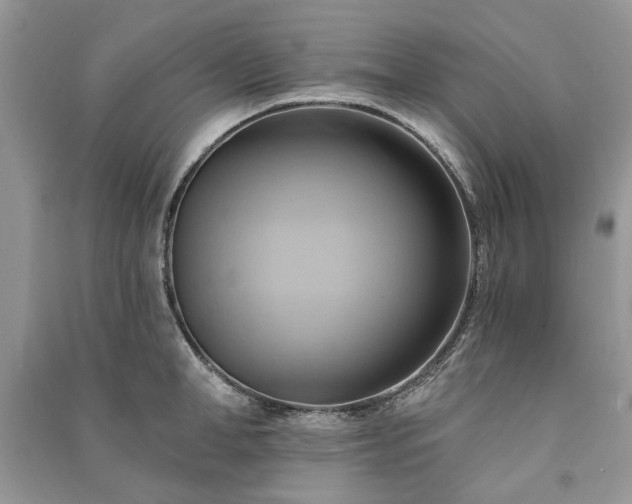 X0000090980998200708091454
