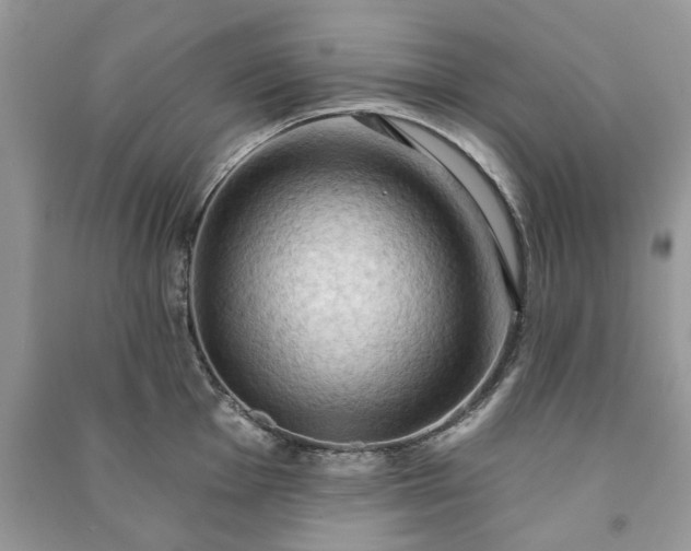 X0000090981001200708091453