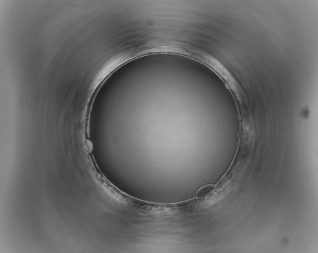 X0000090981002200708091453