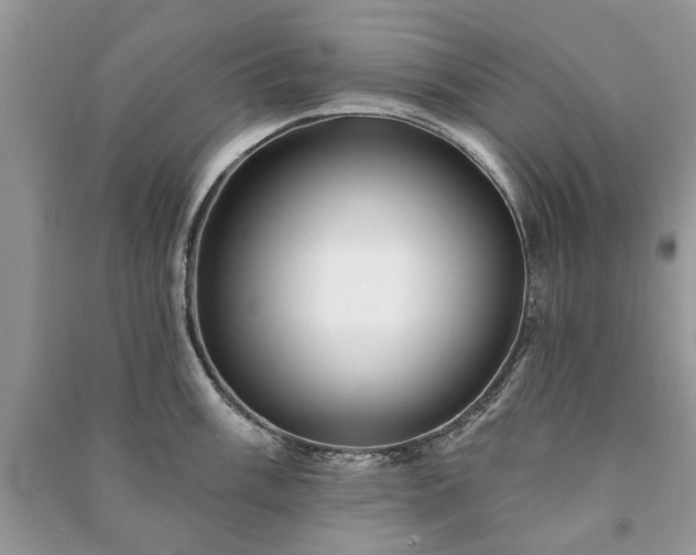 X0000090981003200708091453