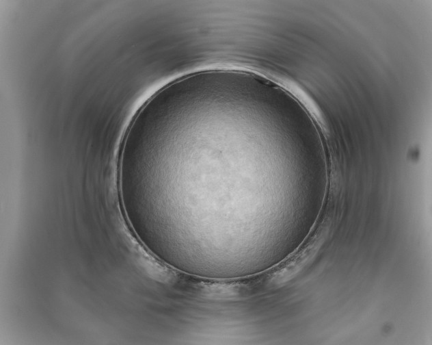X0000090981004200708091453