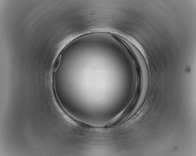 X0000090981005200708091453